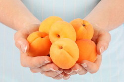 Лечение стафилококка плодами абрикоса