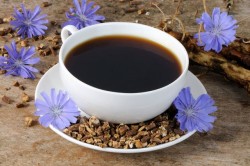 Чай с цикорием при заболеваниях селезенки