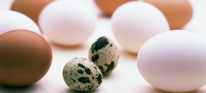 яйца при грудном вскармливании