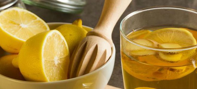 имбирь мед лимон рецепт для иммунитета пропорции