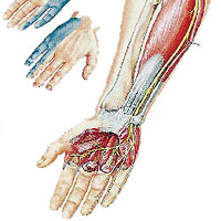 Онемение ног и рук