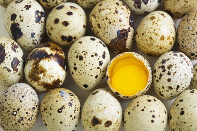 Перепелиные яйца в кулинарии