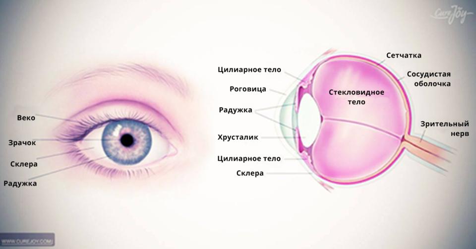14 советов о том, как реально улучшить зрение без очков и дорогих, бездушных врачей