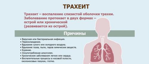 Сильно першит в горле не могу уснуть. Почему перед сном и ночью першит в горле, и как от этого избавиться